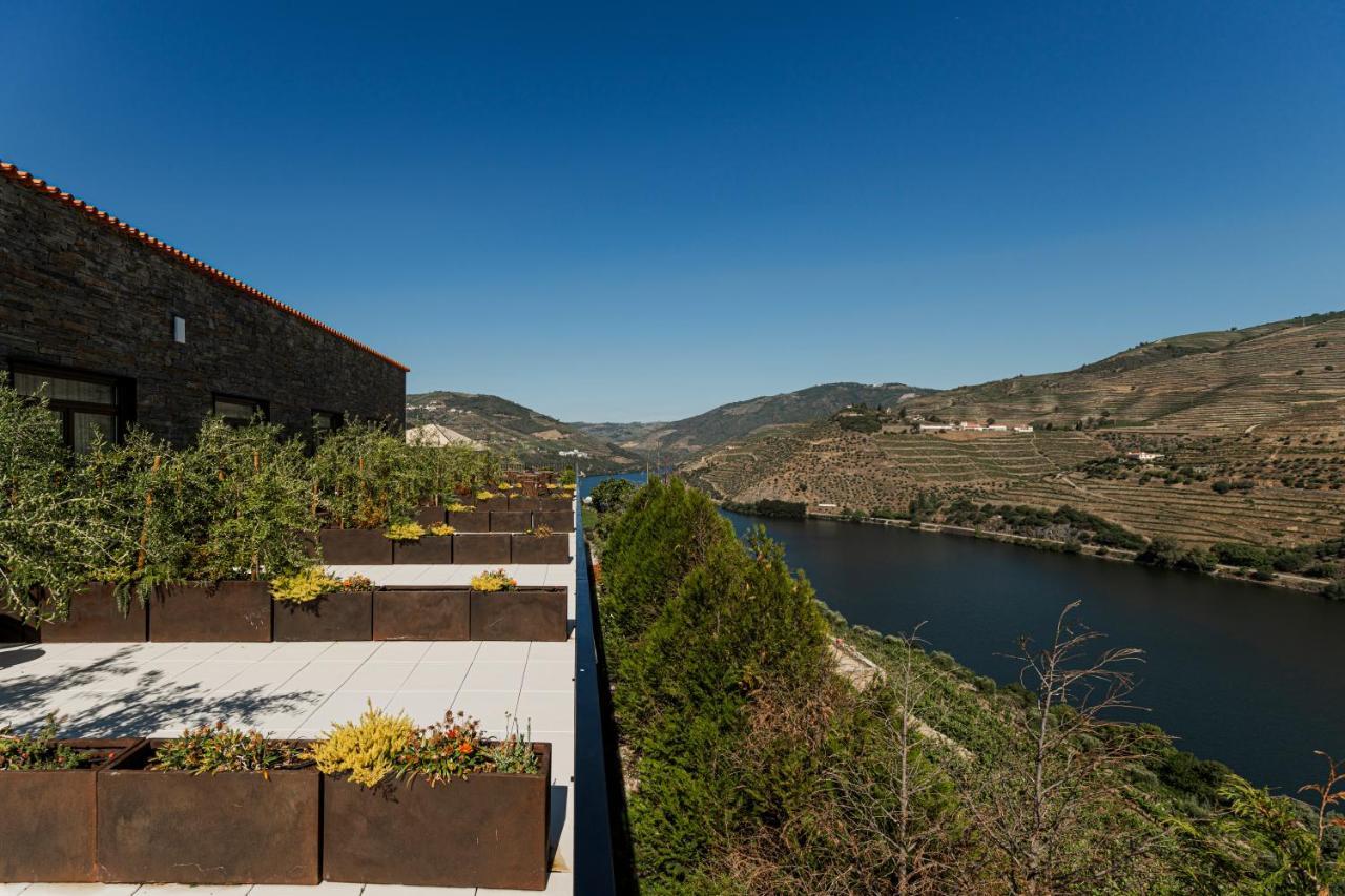 타부아코 Quinta Sao Luiz The Vine House Douro 게스트하우스 외부 사진